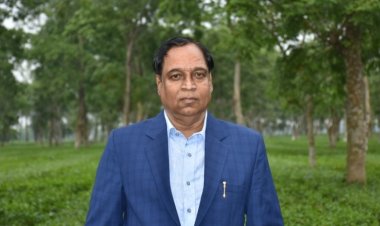 Rajbari Tea - Tea of Bihar