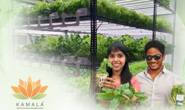 A New Era of Farming: Kamala Farms' Hydroponic Technology Takes Root in India