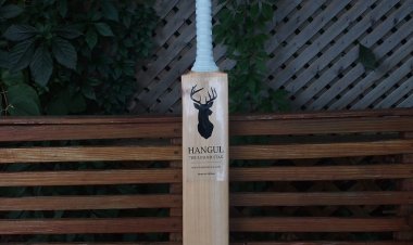 Choosing the Perfect Cricket Bat from Kashmir: A Guide by Kashmirica