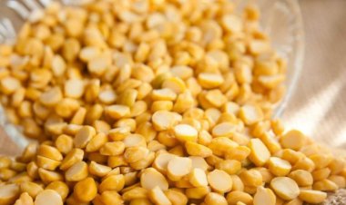Unique Sorter Unveils Revolutionary FRK Fortified Rice Kernel Technology