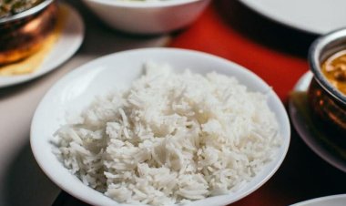 Best Color Sorter Manufacturers and Suppliers in India: Elevating Quality Sorting Technology